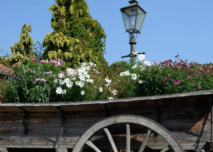 PARK FARM HOTEL, HETHERSETT (NORFOLK)